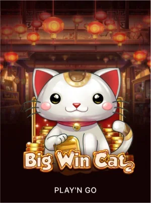 Big Win Cat